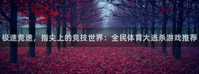 海南oety欧亿体育官网下载：极速竞速，指尖上的竞技