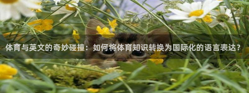 欧亿体育官方正版app集团官网首页网址：体育与英文的