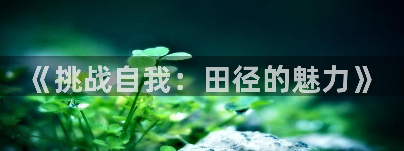 海南oety欧亿体育官网下载发展怎么样：《挑战自我：