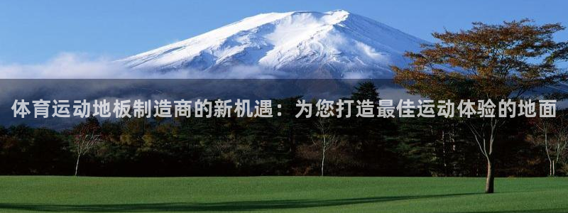 欧亿体育官方正版app官网：体育运动地板制造商的新机