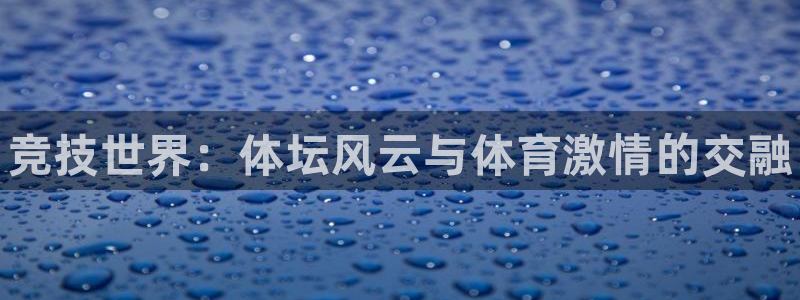 oety欧亿体育官网下载平台注册流程图：竞技世界：体