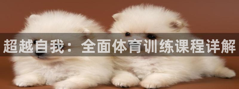 oety欧亿体育官网下载娱乐