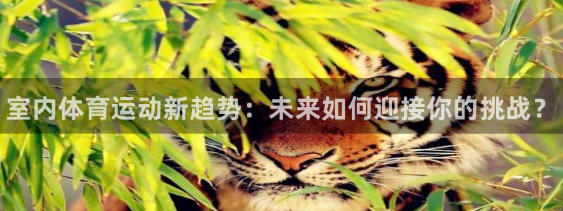 欧亿体育官方正版app官方：室内体育运动新趋势：未来