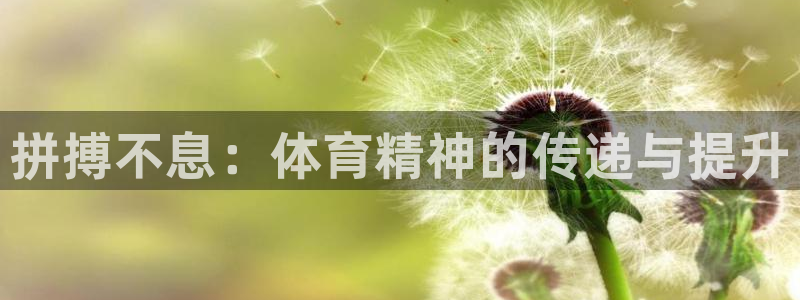 欧亿体育官方正版app官网