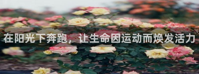oety欧亿体育官网下载平台是正规平台吗知乎：在阳光下奔跑，
