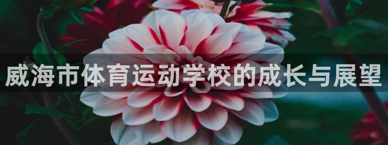 欧亿体育官方正版app集团官网首页网址