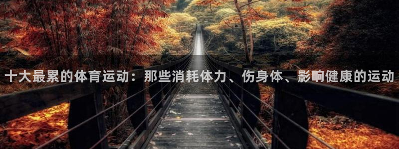 欧亿体育官方正版app五金厂