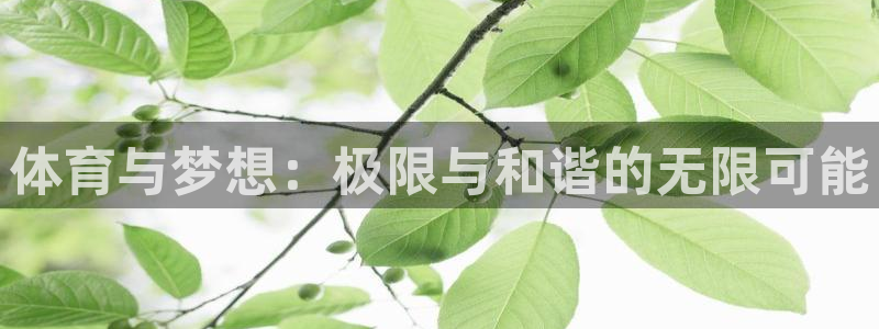 oety欧亿体育官网下载平台是正规平台吗知乎：体育与