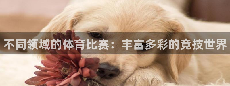 欧亿体育官方正版app开户：不同领域的体育比赛：丰富多彩的竞