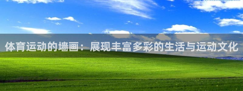oety欧亿体育官网下载平台注册：体育运动的墙画：展现丰富多