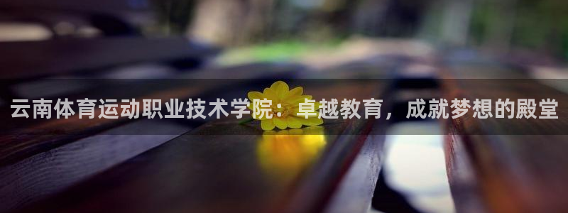oety欧亿体育官网下载平台是正规平台吗：云南体育运动职业技