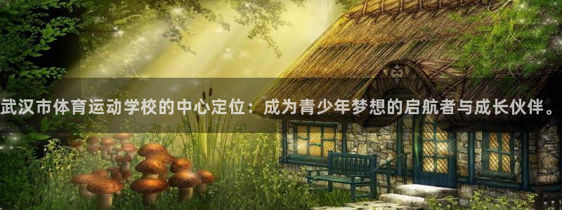 欧亿体育官方正版app集团官网网址：武汉市体育运动学校的中心